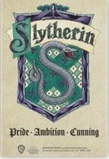 Foto de Imán Slytherin - Harry Potter