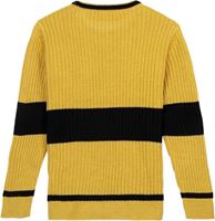 Foto de Jersey Punto Tricot Unisex Hufflepuff Talla L - Harry Potter