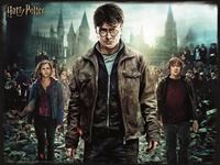 Foto de Puzzle Harry, Hermione & Ron Imágen 3D 300 Piezas - Harry Potter