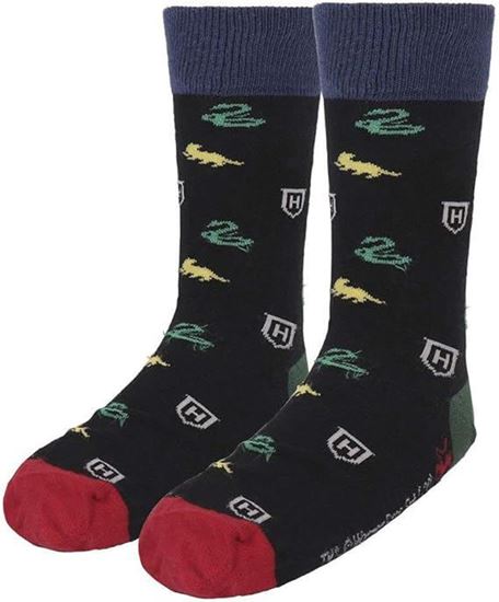 Foto de Calcetines Adulto Casas de Hogwarts Talla Única - Harry Potter