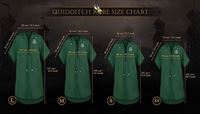 Foto de Túnica Quidditch Slytherin Personalizable - Talla L - Harry Potter