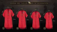 Foto de Túnica Quidditch Gryffindor Personalizable - Talla M - Harry Potter