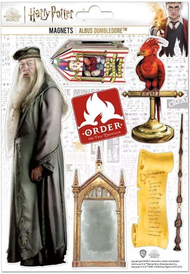 Foto de Set Imanes de Goma Albus Dumbledore - Harry Potter