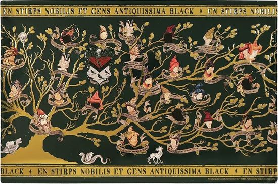 Foto de Placa de Aluminio Familia Black - Harry Potter