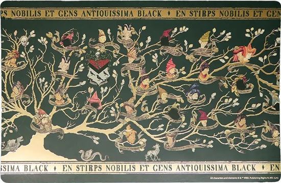 Foto de Set 4 Manteles Individuales Familia Black - Harry Potter