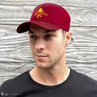 Foto de Gorra Adulto Gryffindor - Harry Potter