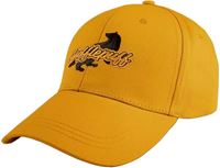 Foto de Gorra Adulto Hufflepuff - Harry Potter