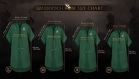 Foto de Túnica Quidditch Slytherin Personalizable - Talla S - Harry Potter