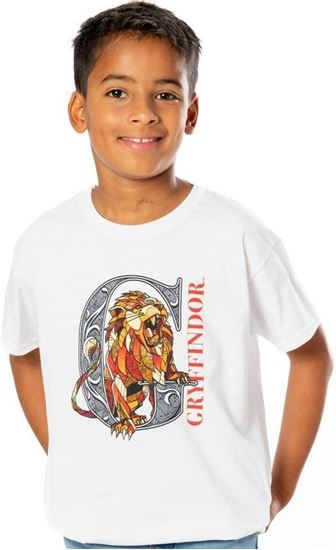 Foto de Camiseta Gryffindor Niño Talla 5/6 Años - Harry Potter
