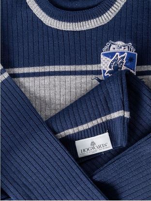 Imagen de Jersey Ravenclaw Niño Talla 5/6 Años - Harry Potter